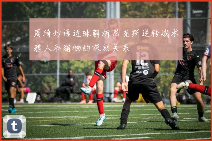 周琦妙语连珠解析尼克斯逆转战术猎人和猎物的深刻关系